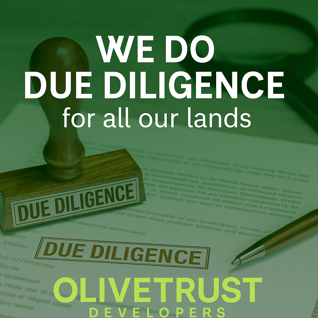 Due Diligence